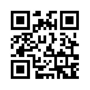 Udr-system.com QR code