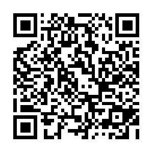 Ultimatemetaldomainofcarnagenmayhem.com QR code