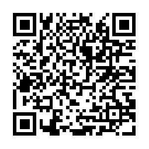 Uncorrectablegovernmentdatabases.com QR code