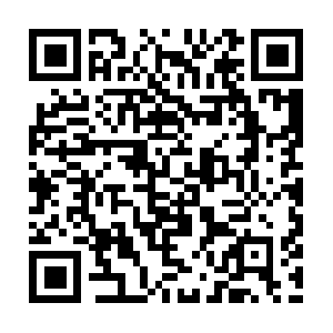 Unfoldlegunderstandingminorbrain.info QR code