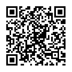 Unitedcountrymissourilandauctions.com QR code