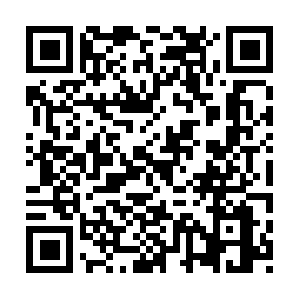 Universidadplenitudinternacional.com QR code