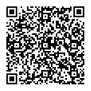 Upstage-chatroom-websocket-1051842008.ap-southeast-1.elb.amazonaws.com QR code