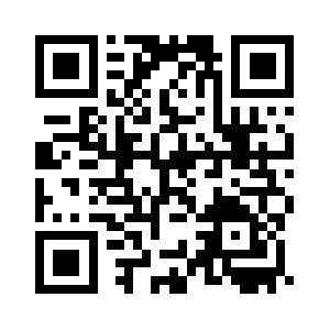 V-necksecurity.com QR code