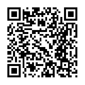 V-system-home-study-programme-review.com QR code