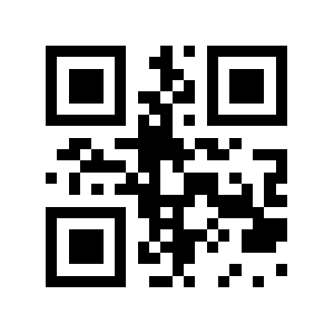 V13.net QR code