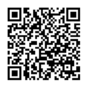 Valpakofcentralal-my.sharepoint.com QR code