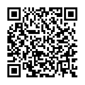 Vanguarlogistics.com.multi.uribl.com QR code