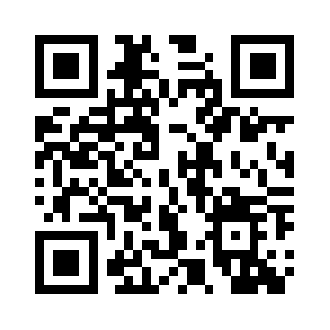 Vasinfotech.com QR code