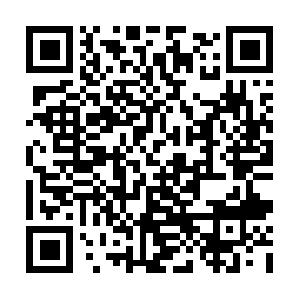 Vast-insight-to-save-going-forth.info QR code