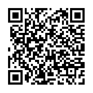 Vast-insight-to-storegoing-forth.info QR code