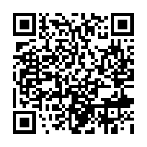 Vast-insight-toamass-going-forth.info QR code