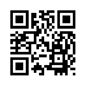 Vaylink.top QR code