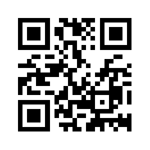 Vbiger.com QR code