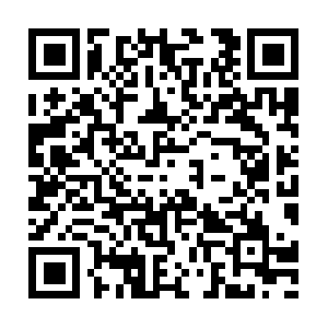 Veducationalimmigrationconsultants.in QR code