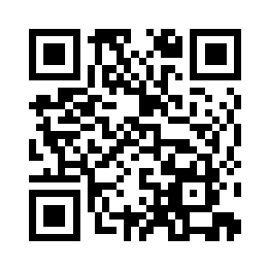 Veerledenissen.com QR code