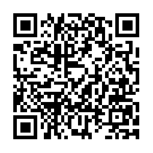 Vehicle-purchase-protection-help.com QR code