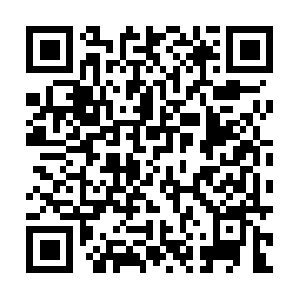 Venicenutritionterrancemitchell.com QR code