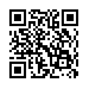 Verkehrsunfaelle.net QR code