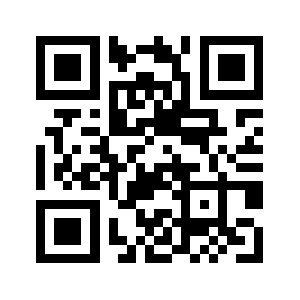 Vg-service.com QR code