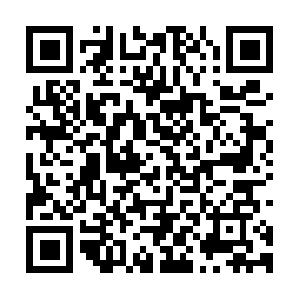 Vi.c.pic.ak.mangatoon.akamaized.net QR code