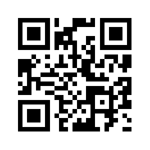 Vibebullet.com QR code