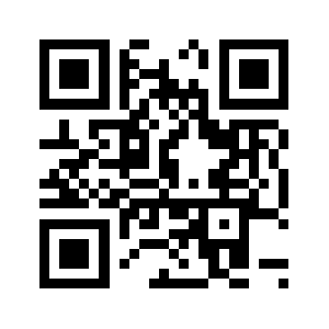 Video100.pro QR code