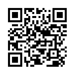 Videocashsystem.org QR code