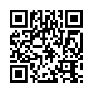 Videonetics.com QR code