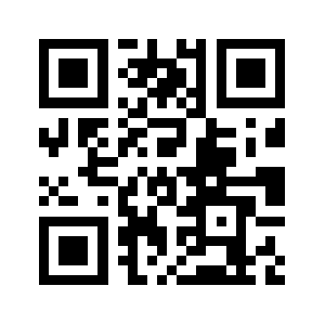 Vig-power.biz QR code