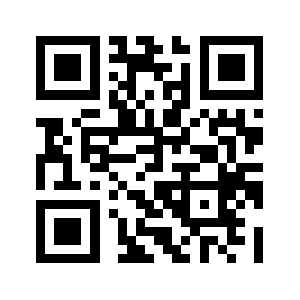 Viggen.biz QR code