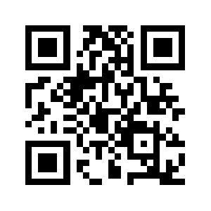 Viivo.biz QR code