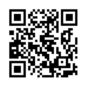 Virallistincome.info QR code