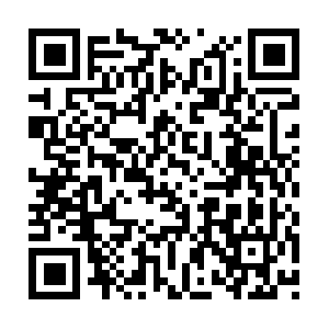 Virtual-and-immaterial-asset-exchange.com QR code