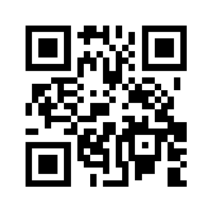 Virtualbiz.biz QR code