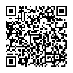 Virtualparadeacrossamericainaugurationday.com QR code