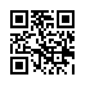 Visdom.biz QR code