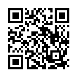 Vision4safety.com QR code