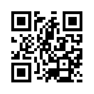 Vissarts.com QR code