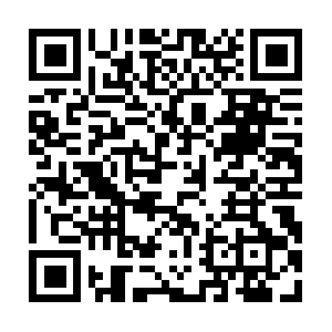 Vivertrabalhareestudarnoexterior.com QR code