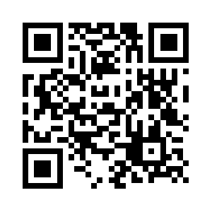 Vizzsoftware.com QR code