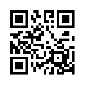 Vmesterzn.ru QR code