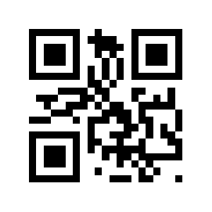 Vnce.vn QR code