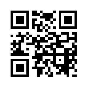 Vns-199.com QR code