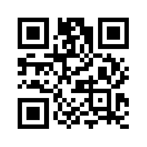 Vns8165.com QR code