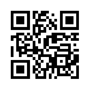 Vns8393.com QR code