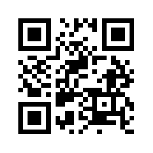 Vns993399.com QR code