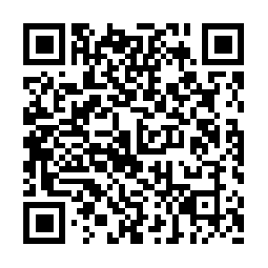 Vnso-zn-10-tf-mp3-s1-m-zmp3.zadn.vn QR code