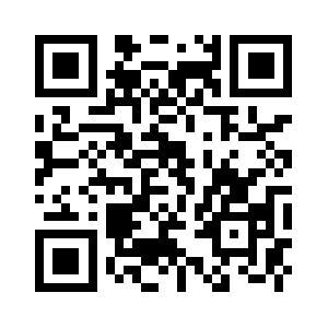 Voidpointer101.com QR code