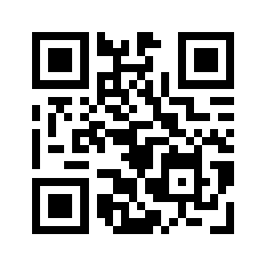 Vrdytys.com QR code